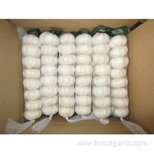 Different Packages Of Jinxiang Pure White Garlic